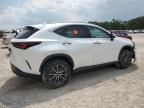 2024 Lexus NX 250 Premium