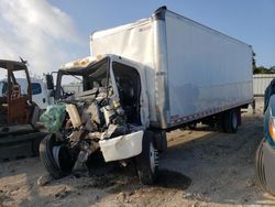 Salvage trucks for sale at Temple, TX auction: 2024 Hino Hino L6