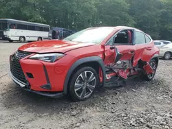 2020 Lexus UX 250H en venta en York Haven, PA