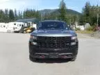 2021 Chevrolet Silverado K1500 Trail Boss Custom