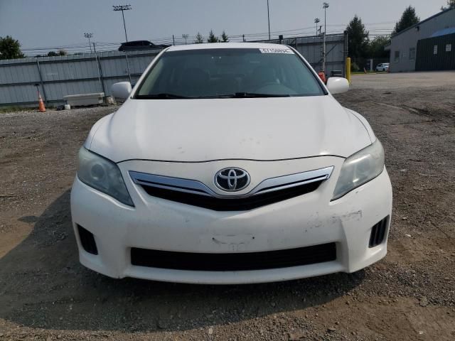 2010 Toyota Camry Hybrid