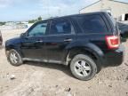 2010 Ford Escape XLS