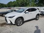 2024 Lexus NX 350 Luxury