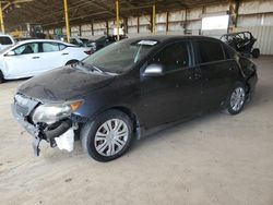 Salvage cars for sale at Phoenix, AZ auction: 2009 Toyota Corolla Base