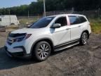 2021 Honda Pilot EXL