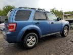 2009 Ford Escape XLT