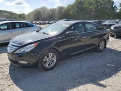 Hyundai Sonata Vehiculos salvage en venta: 2013 Hyundai Sonata SE