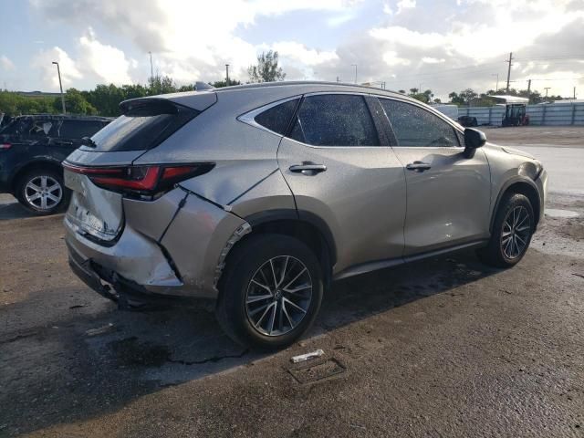 2024 Lexus NX 250 Base