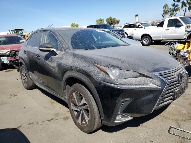 2021 Lexus NX 300H Base