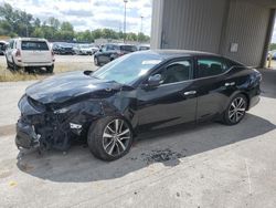 Nissan salvage cars for sale: 2020 Nissan Maxima SV