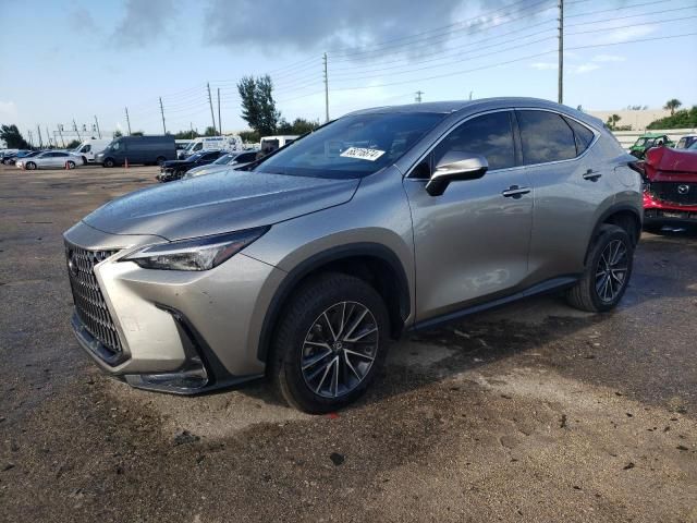 2024 Lexus NX 250 Base