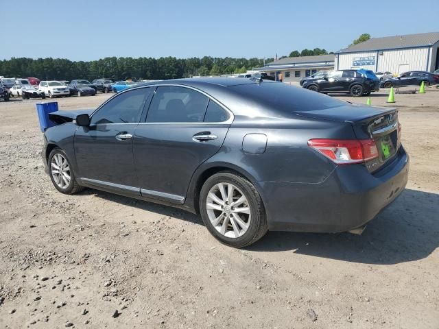 2010 Lexus ES 350