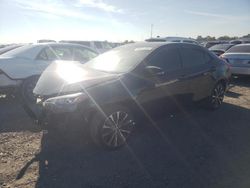 Toyota Corolla l salvage cars for sale: 2019 Toyota Corolla L