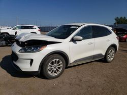 Salvage cars for sale at Greenwood, NE auction: 2020 Ford Escape SE