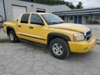 2006 Dodge Dakota Quad SLT