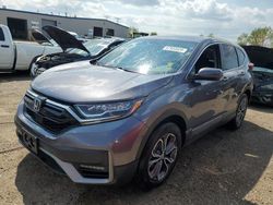 Salvage cars for sale at Elgin, IL auction: 2020 Honda CR-V EX