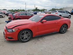 Salvage cars for sale at Indianapolis, IN auction: 2017 Ford Mustang