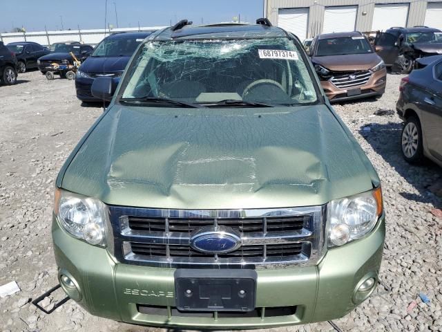 2008 Ford Escape XLT