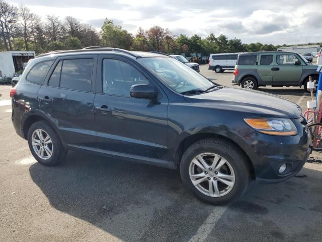 2010 Hyundai Santa FE SE