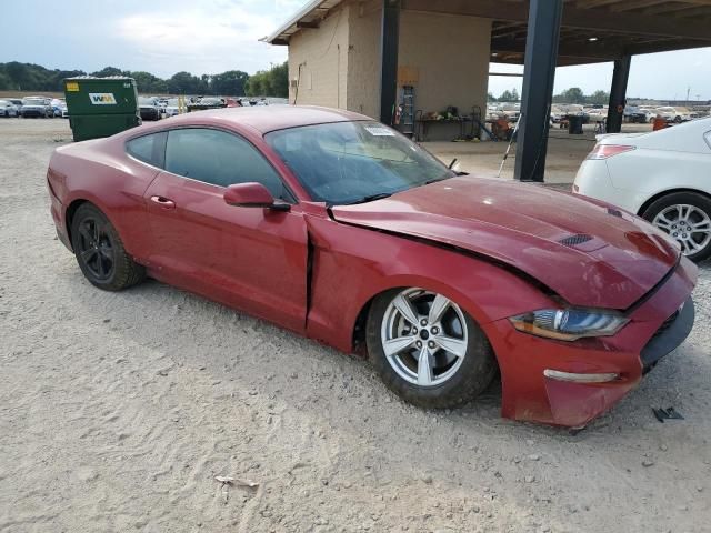 2021 Ford Mustang