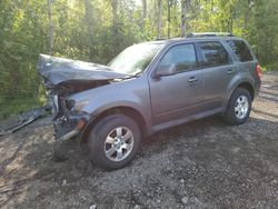 Ford salvage cars for sale: 2011 Ford Escape Limited