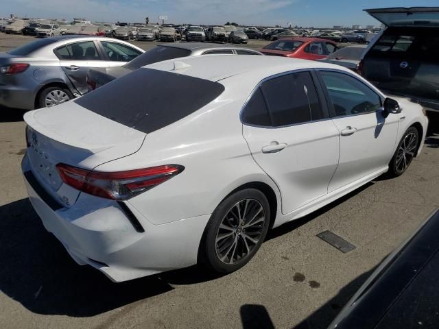 2019 Toyota Camry Hybrid