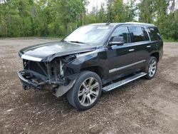 Cadillac Vehiculos salvage en venta: 2015 Cadillac Escalade Premium