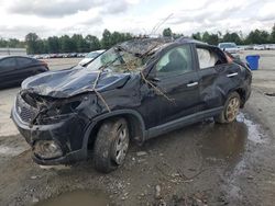 Salvage cars for sale at Lumberton, NC auction: 2011 KIA Sorento Base