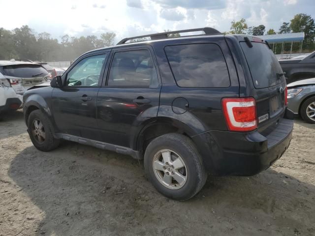 2010 Ford Escape XLT