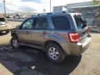 2009 Ford Escape Limited