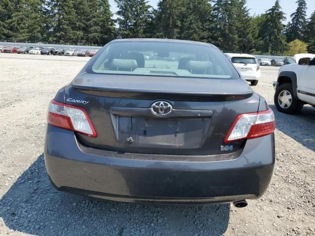 2008 Toyota Camry Hybrid