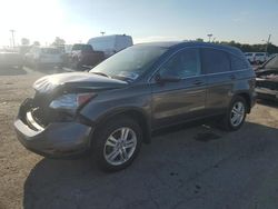 Salvage cars for sale at Indianapolis, IN auction: 2010 Honda CR-V EXL