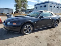 Salvage cars for sale at Albuquerque, NM auction: 2004 Ford Mustang GT