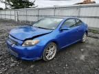 2006 Scion TC