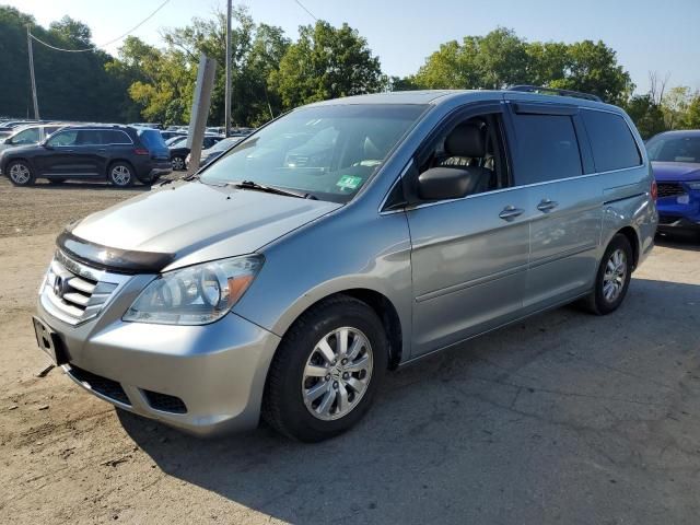 2010 Honda Odyssey EXL