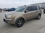 2010 Honda Pilot EXL