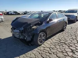 Salvage cars for sale at Martinez, CA auction: 2024 KIA Forte LX