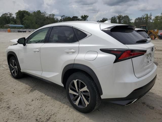 2020 Lexus NX 300