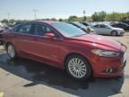 2013 Ford Fusion SE Phev