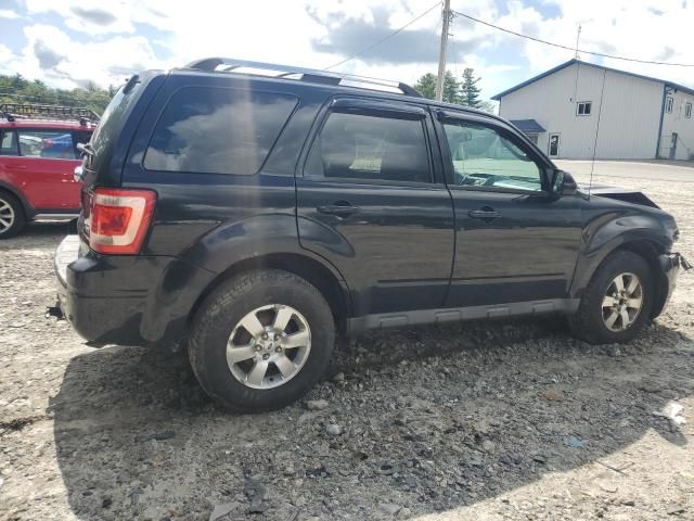 2010 Ford Escape Limited