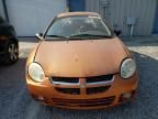 2005 Dodge Neon SXT