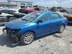 Toyota salvage cars for sale: 2010 Toyota Corolla Base