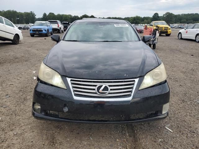 2010 Lexus ES 350