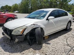 Salvage cars for sale at Houston, TX auction: 2008 Nissan Maxima SE