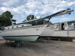 Hunt salvage cars for sale: 1981 Hunt Boat