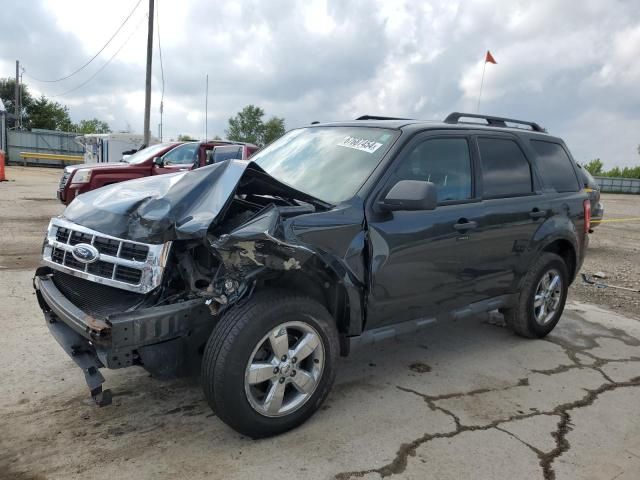 2009 Ford Escape XLT