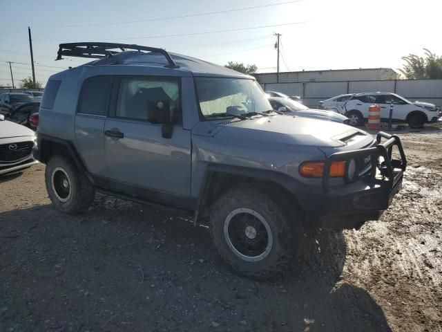 2013 Toyota FJ Cruiser