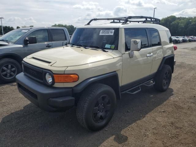 2008 Toyota FJ Cruiser