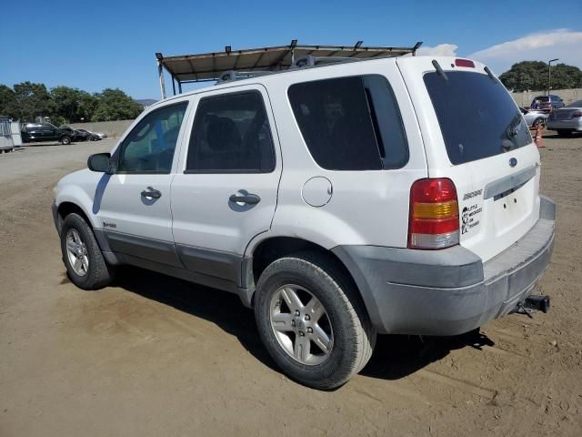 2006 Ford Escape HEV