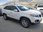 2011 KIA Sorento Base